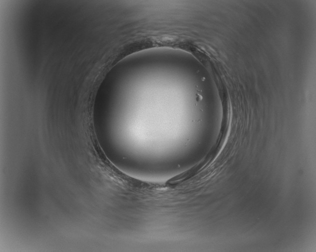 X0000070211345200606021244