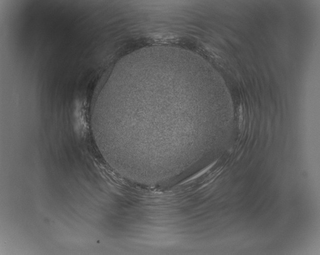 X0000070211346200606021244