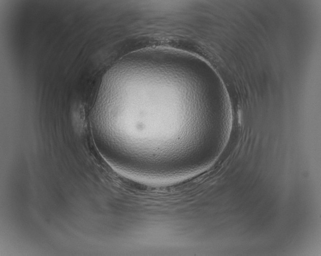 X0000070211347200606021244