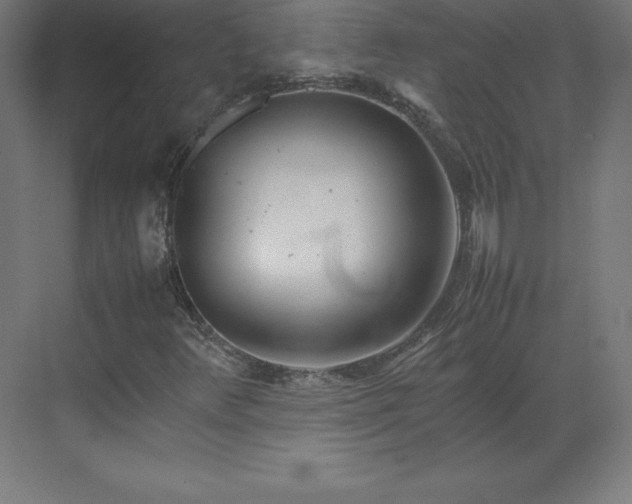 X0000070211348200606021244