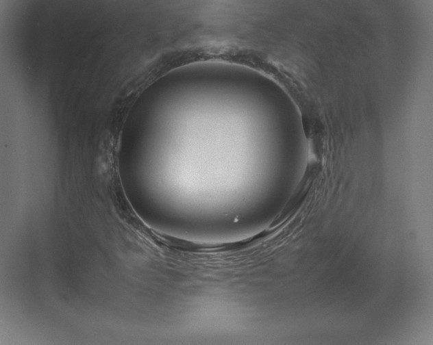 X0000070211349200606021244