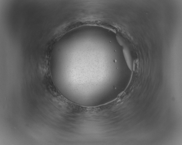 X0000070211350200606021244