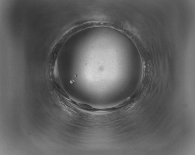 X0000070211352200606021244