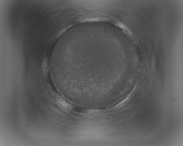 X0000070211353200606021244