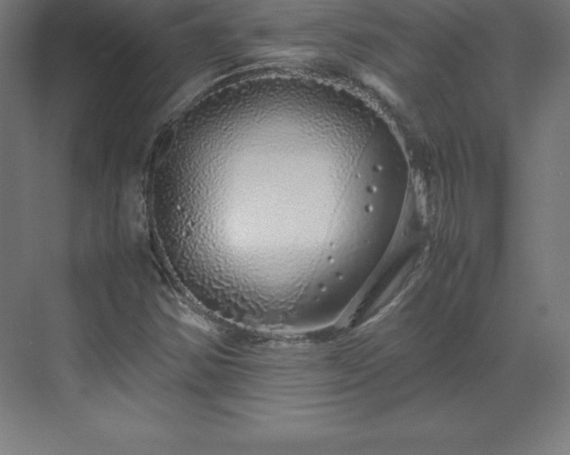 X0000070211354200606021244