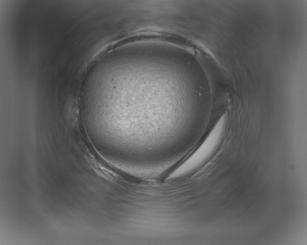 X0000070211355200606021244