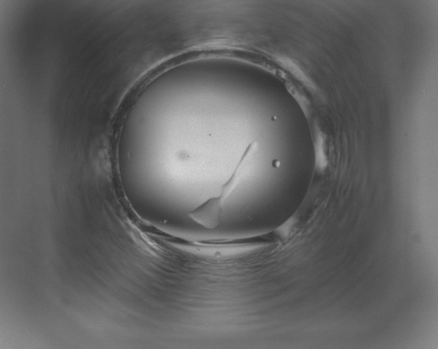 X0000070211356200606021244