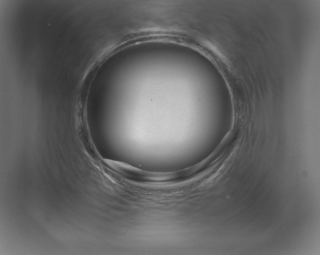 X0000070211357200606021244