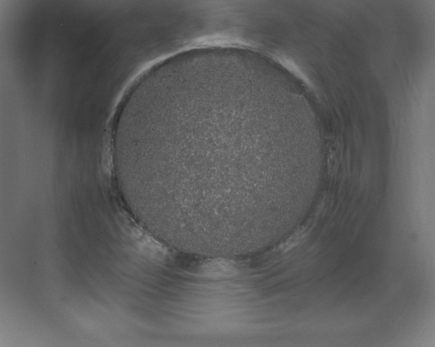 X0000070211358200606021244