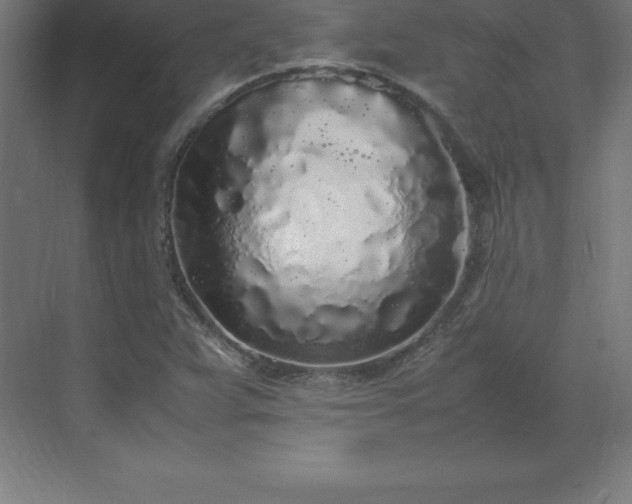 X0000070211359200606021244