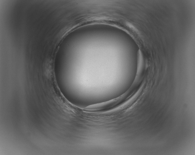 X0000070211361200606021244