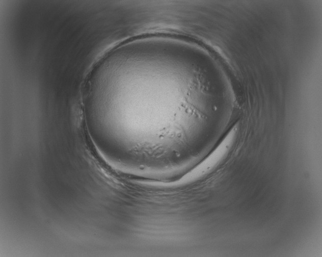 X0000070211363200606021244