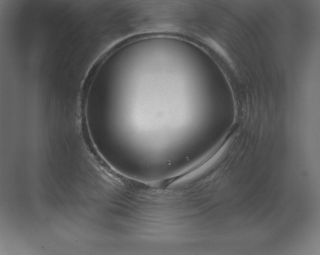 X0000070211364200606021244