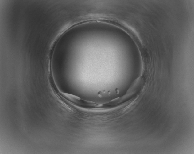 X0000070211365200606021244