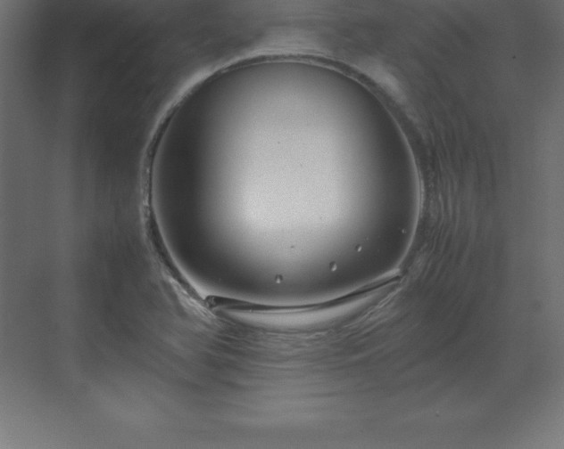 X0000070211366200606021244