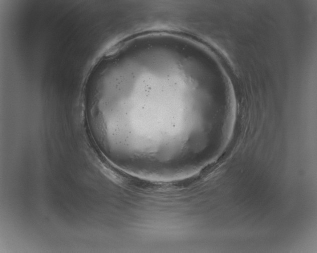 X0000070211367200606021244