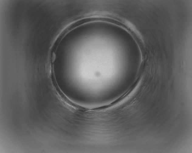 X0000070211368200606021244