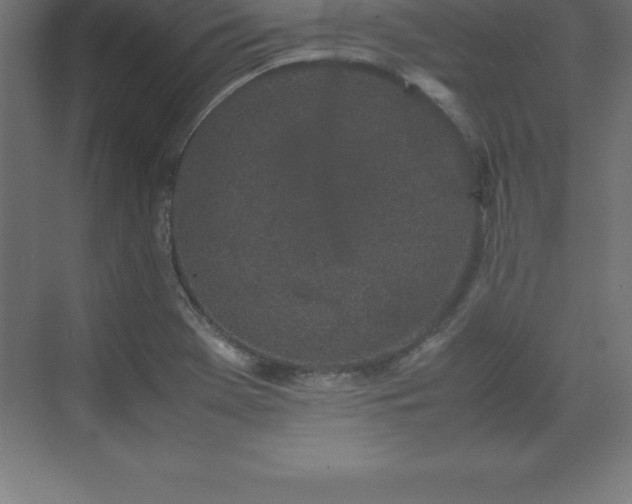 X0000070211369200606021244