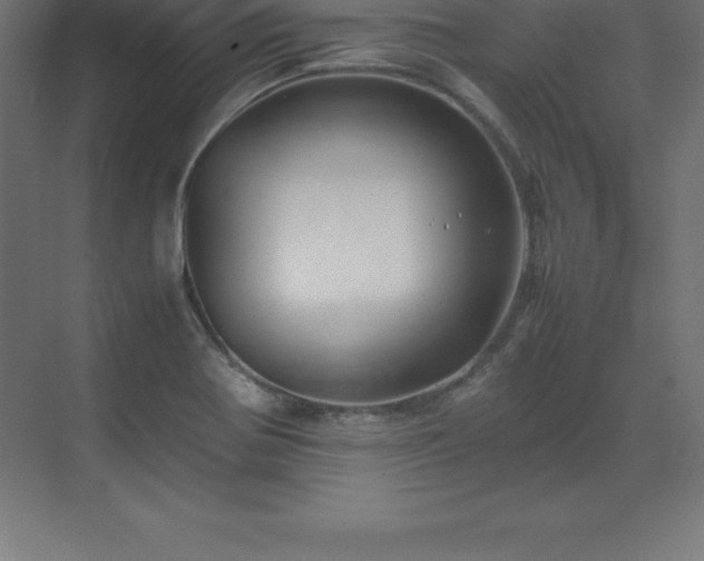 X0000070211370200606021244