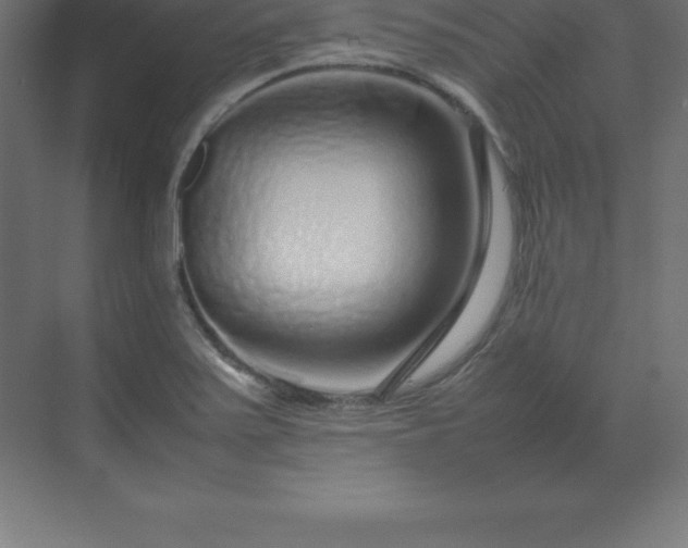 X0000070211371200606021244