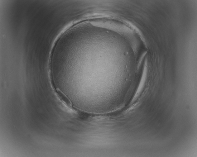 X0000070211373200606021244