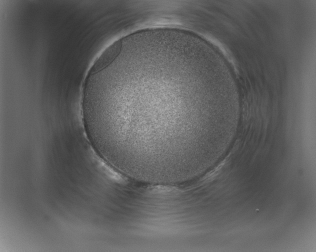 X0000070211374200606021244