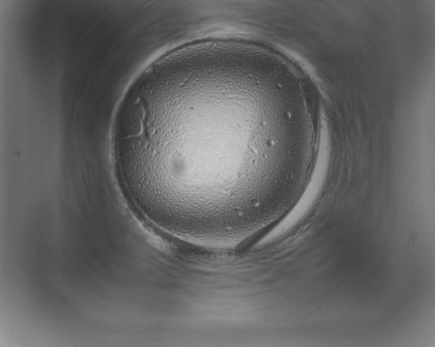 X0000070211375200606021244