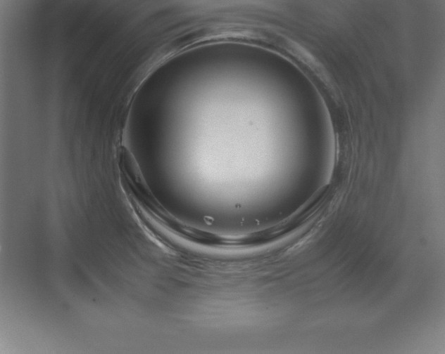 X0000070211377200606021244