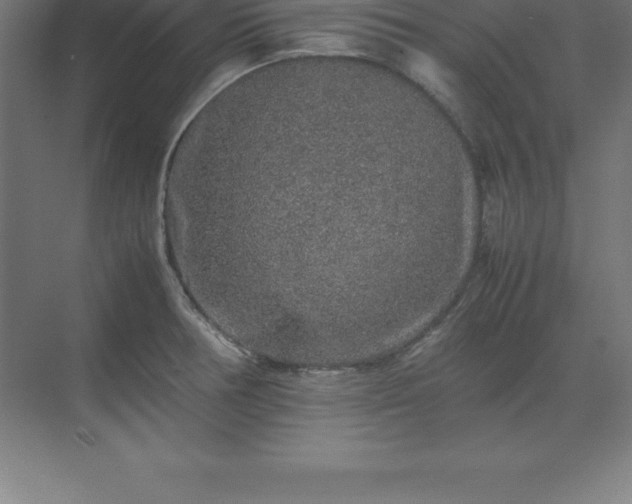 X0000070211378200606021244