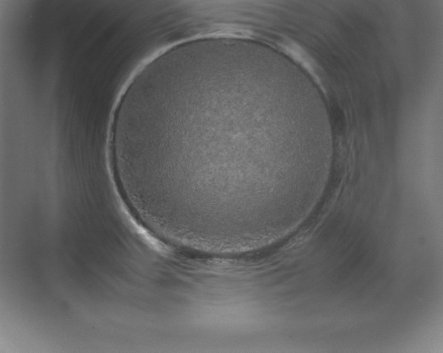 X0000070211379200606021244