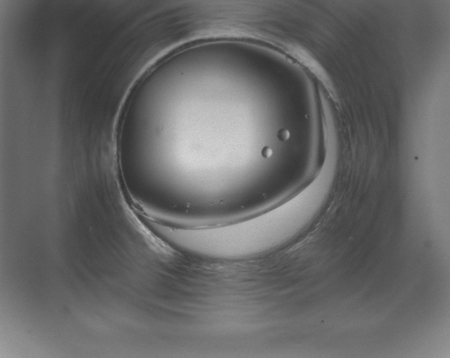 X0000070211380200606021244