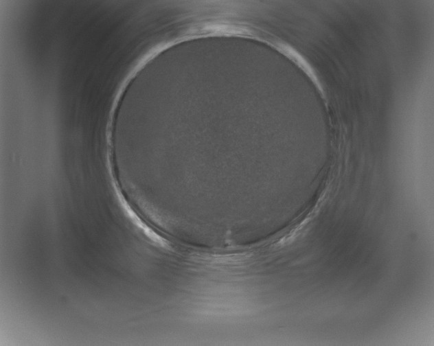 X0000070211381200606021244