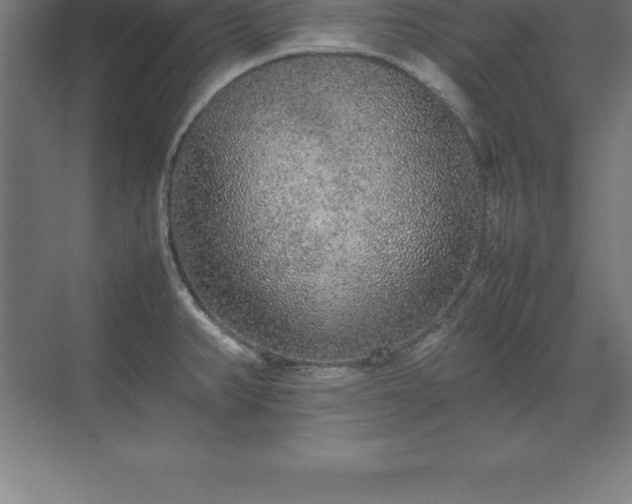 X0000070211382200606021244