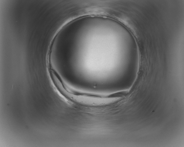 X0000070211383200606021244