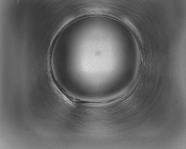 X0000070211384200606021244