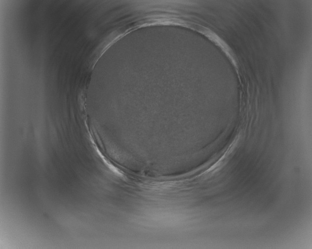 X0000070211385200606021244