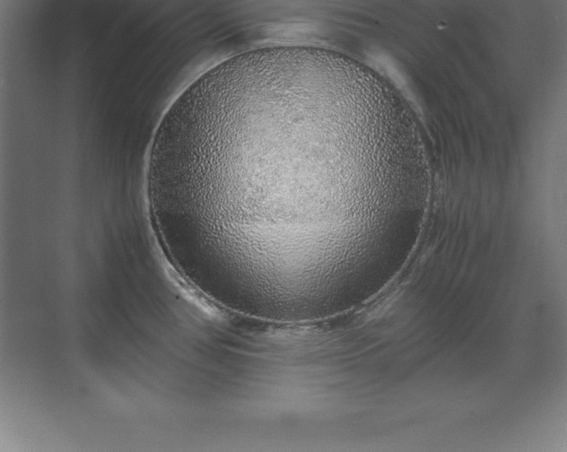 X0000070211386200606021244