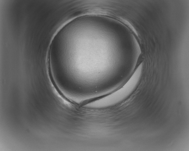 X0000070211387200606021244