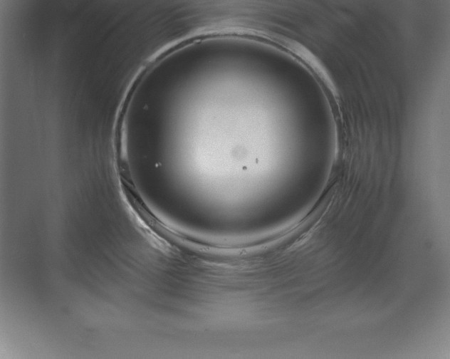 X0000070211388200606021244