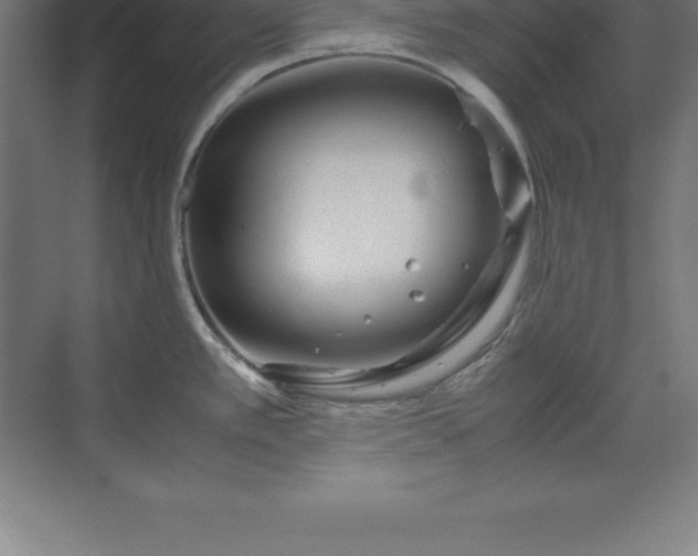 X0000070211389200606021244