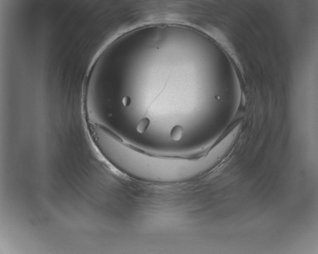 X0000070211390200606021244