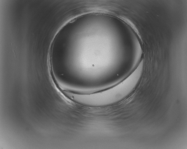 X0000070211391200606021244