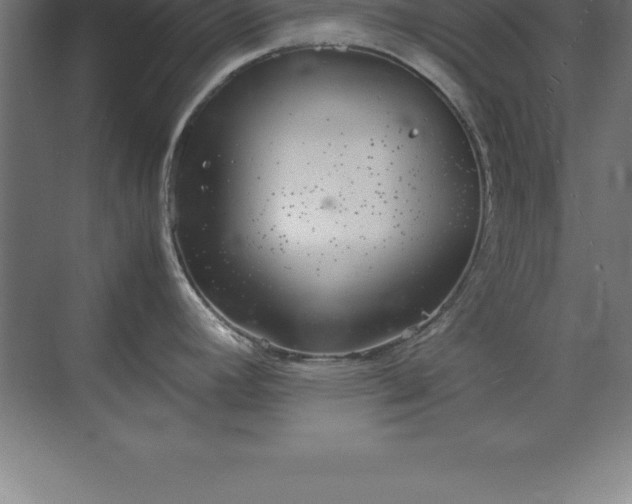 X0000070211392200606021244