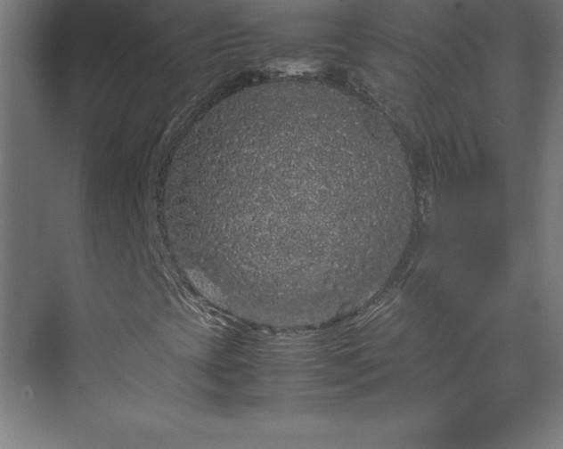 X0000070211393200606021243