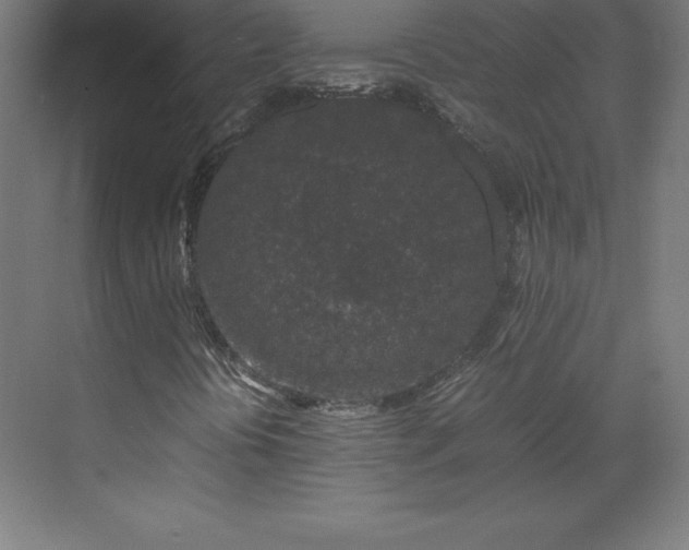 X0000070211394200606021243