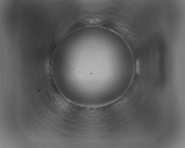 X0000070211395200606021243