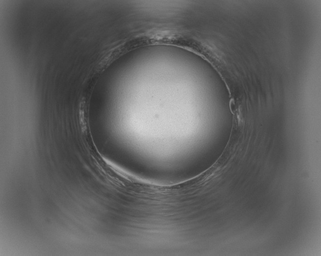 X0000070211396200606021243