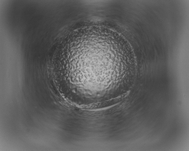 X0000070211397200606021243