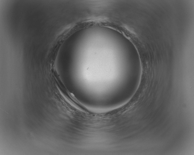 X0000070211398200606021243