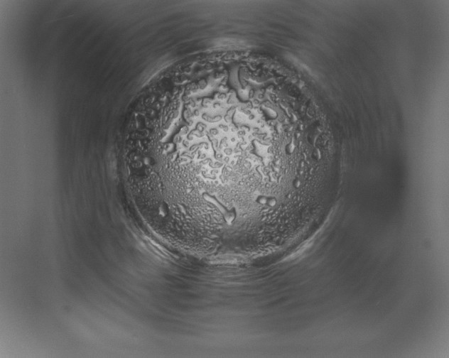 X0000070211401200606021243